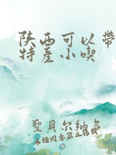 陕西可以带走的特产小吃