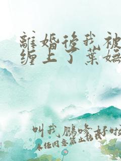 离婚后我被前夫缠上了叶妩全文小说