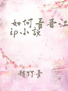 如何看晋江的vip小说