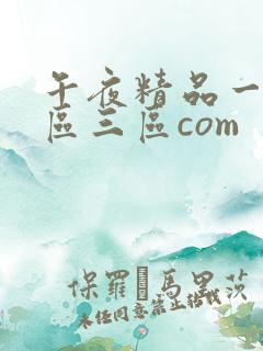 午夜精品一区二区三区com