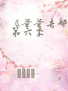 《爸爸去哪儿》第六季