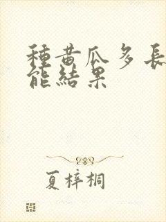 种黄瓜多长时间能结果