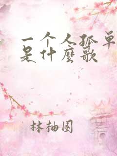一个人孤单歌词是什么歌 一个人孤单歌词是什么歌