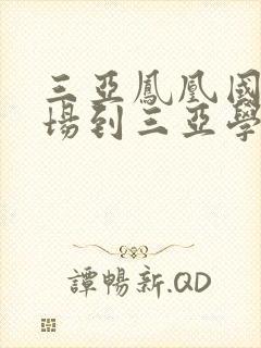 三亚凤凰国际机场到三亚学院有多远