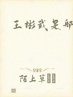 王彬武是哪里人