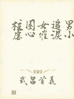 校园女追男言情虐心催泪小说推荐