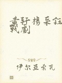 黄轩杨采钰演谍战剧
