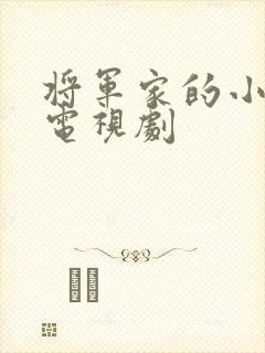 将军家的小娘子电视剧