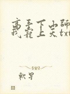 高手下山师姐将我宠上天txt