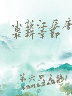 小说江辰唐楚楚最新章节
