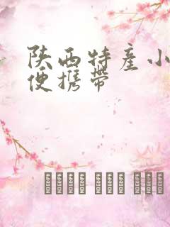 陕西特产小吃方便携带