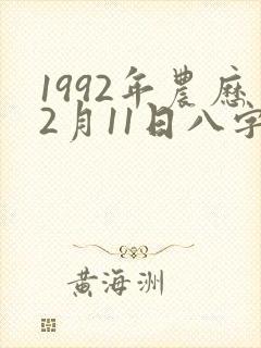 1992年农历2月11日八字命格