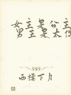 女主是公主重生 男主是太傅