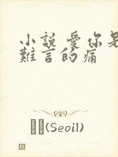 小说 爱你是我难言的痛