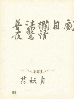 普法栏目剧 一夜惊情
