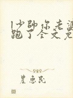 l少帅你老婆又跑了全文免费阅读