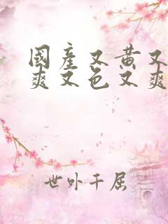 国产又黄又猛又爽又色又爽