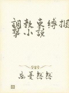 调教束缚捆绑电击小说