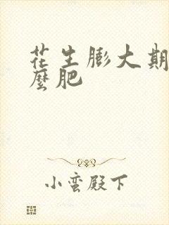 花生膨大期用什么肥