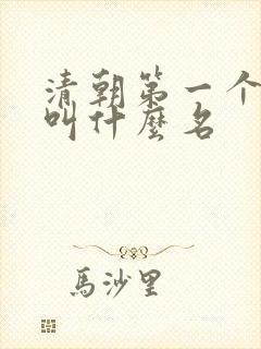 清朝第一个皇上叫什么名