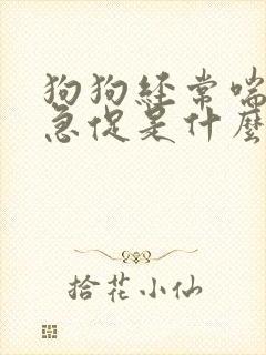 狗狗经常喘气很急促是什么原因