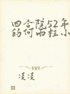 四合院52年代的何雨柱小说