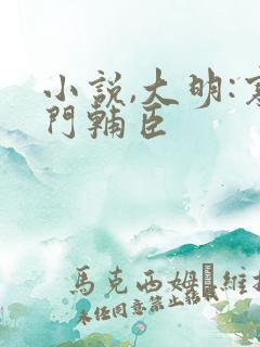 小说,大明:寒门辅臣