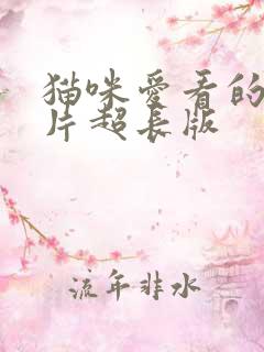 猫咪爱看的动画片超长版