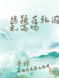 杨颖在韩国的人气高吗 杨颖在韩国的人气高吗