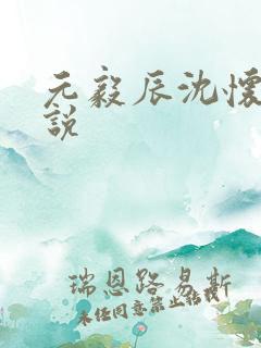 元毅辰沈怀妆小说