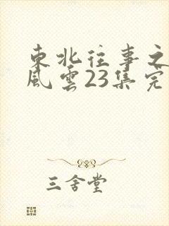 东北往事之黑道风云23集完整版高清