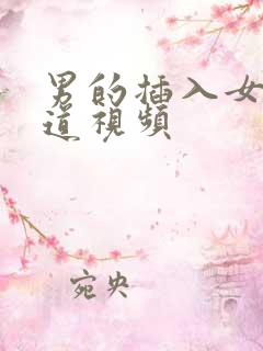 男的插入女的阴道视频