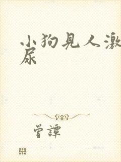 小狗见人激动漏尿