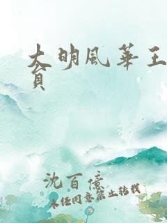 大明风华王振演员
