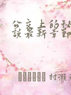 公交上的秘密小说最新章节
