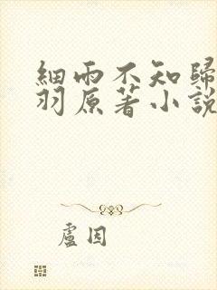 细雨不知归谢轻羽原著小说结局