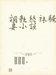 调教丝袜骚货人妻小说