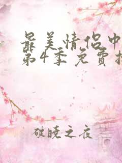 最美情侣中文版第4季免费播放