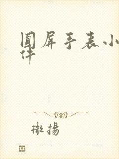 圆屏手表小说软件