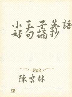 小王子英语好词好句摘抄