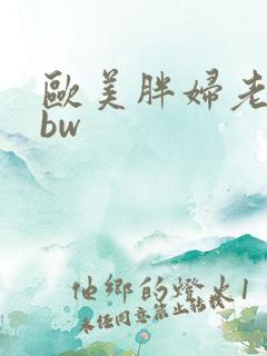 欧美胖妇老少bbw