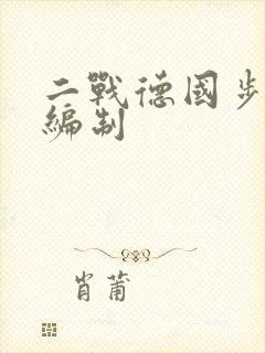 二战德国步兵排编制
