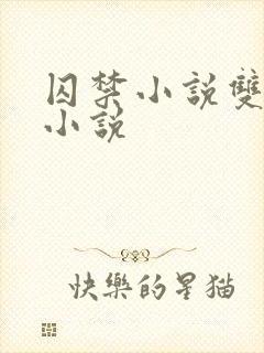 囚禁小说双男主小说