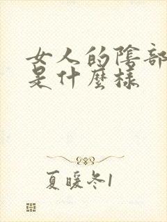 女人的阴部正常是什么样