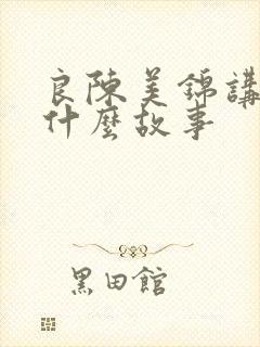 良陈美锦讲的是什么故事