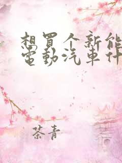 想买个新能源纯电动汽车什么牌子好