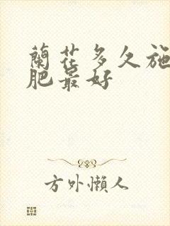 兰花多久施一次肥最好
