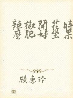 辣椒开花时用什么肥好坐果 辣椒开花时用什么肥好坐果