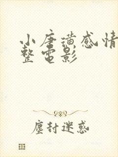 小唐璜感情史完整电影