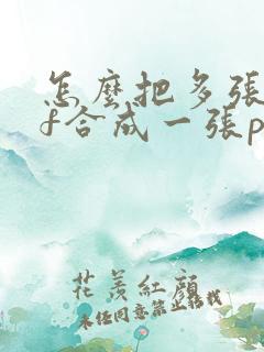 怎么把多张pdf合成一张pdf